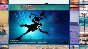 If You Want To Display Portfolio Galleries Or Videos On Your Site In An Attractive Way To Showcase Your Work In Grid Wordpress Plugins Blog Marketing Plugins