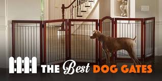 This modular system has a variety of the bindaboo® hallway indoor pet gate is perfect any hallway or doorway. 10 Best Dog Gates For Indoor Use Staircases 2020 Reviews