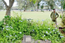 This large man had the most gentle and yet intense voice, which still touches the. Memorial Missing The Garden Island