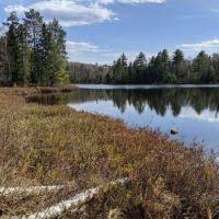 Editors of consumer guide jigsaw puzzles are al. Lf Arkjkuoqowm