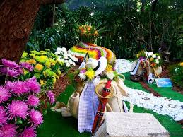 Colombie Medellin Fete Des Fleurs 2017 Fiesta De Los Flores Festival Of Flowers Orchidees Orquideas Medellin Fleurs Orchidee