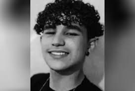 Adolescente morre após carro capotar em curva na BR-376