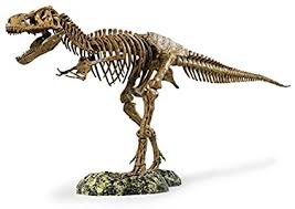 Print+ is a product line of diy kits that allows consumers to build and customize their own headphone. Amazon Com Edu Toys T Rex Skeleton 36 Scale Replica Model Assemble Display Start Your Own Dinosaur Museum True To Life Skeleton Toys Games