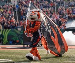 The cincinnati bengals franchise was founded in 1968 as a member of the west division of the american football league (afl). Cincinnati Bengals Uniforms Is It Time For A New Look Lwosports