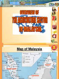Of agriculture (mdoa) and malaysian department of. Overview Of Agriculture Sector In Malaysia 1230823436347415 1 Competitiveness Farms
