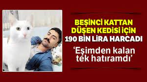 besinci kattan dusen kedisi icin 190 bin lira harcadi ama youtube
