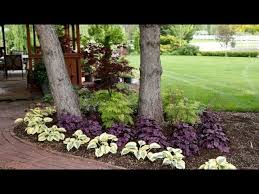 See more ideas about backyard landscaping, landscaping with rocks, garden design. Adding Colorful Plants Under Trees Youtube