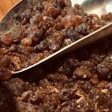 Image result for Commiphora kua