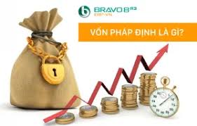 Vốn pháp định là gì? Đặc điểm và quy định liên quan đến vốn pháp định -  Bravo