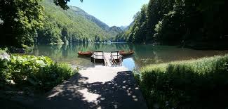 Biogradska gora national park is located in the northeast part of montenegro, between tara and lim rivers, in the middle part of bjelasica mountain. Biogradska Gora National Park Letsgotomontenegro