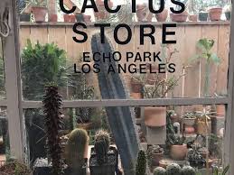 To learn more about each adoptable cat. 8 Cactus Gardens In L A For Succulent Obsessives