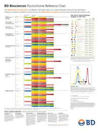 Bd Biosciences Fluorochrome Reference Chart Visit