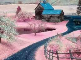  Profil De Celia Bhd Cliabhd Pinterest