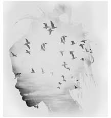 Web Design Penrith Logos Seo Graphic Designs Penrith Poster Prints Scandinavian Art Poster Art