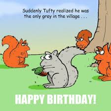 Choose from a wide selection of hilarious ecards to make anyone and everyone laugh. Twizler Funny Birthday Card With Squirrels Happy Birthday Card Humour Card Funny Happy Birthday Card Retirement Card Teenager Card Fathers Day Card Buy Online In Angola At Desertcart 50984871