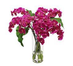 Check spelling or type a new query. Faux Phalaenopsis Orchid In Slim Cylinder Vase Artificial Flowers Pottery Barn