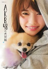 Shiba Inu» salva a niño de 5 años de un ataque de Oso