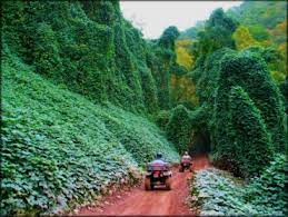 Hatfield Mccoy Trails West Virginia Motorcycle And Atv Trails
