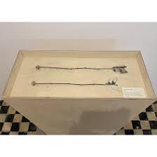 Bildergebnis für Genc Kadriu