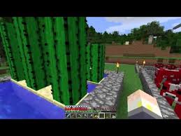 Other than the factor that cactus may be rare to find, for what other purpose would cactus serve? How To Place Cactus