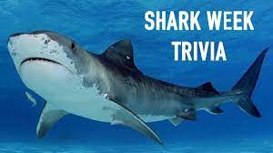 We have a collection of easy trivia questions that you can play in teams or ask each player to select a category to test their trivia chops. Shark Week Trivia Games Download Youth Ministry