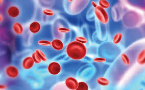 Sëmundjet e gjakut, shenjat që NUK duhet t'i injoroni | GAZETA ...