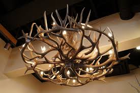 Antique decoration with modern or contemporary accessories. View Gallery Of Modern Antler Chandelier Showing 9 Of 20 Photos