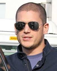 theberry wentworth miller michael and sara michael scofield