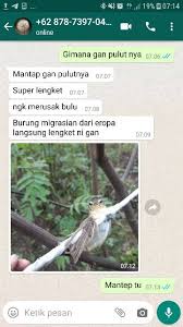 Lem beim führenden marktplatz für gebrauchtmaschinen kaufen. Pulut Burung Jebakan Burung Lem Burung Getah Bendo Getah Karet Jebak Burung Lem Perangkap Burung Lem Shopee Indonesia