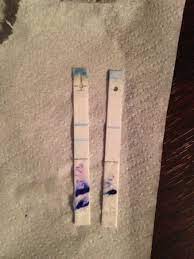 Clear Blue Digital Taken Apart Bfn Questioned Babycenter