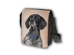 Image result for auvergneský ohař