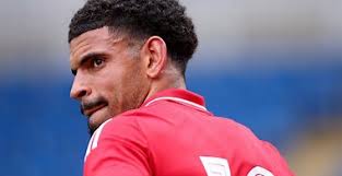 U.S. Men's Striker Josh Sargent Reportedly Nears Move To German Club  Wolfsburg