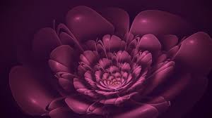 Draw the contours of the flower by color pencils over the initial graphite pencil lines. Purple Flower Drawings Paintings And Photographs For Creative Inspiration Icreatedaily