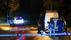 För en av dem är skadorna livshotande. Man Misshandlad I Eslov Har Livshotande Skador Svt Nyheter