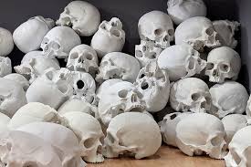 100 Giant Skulls By Artist Ron Mueck Skull Art Skull Skull Reference