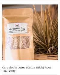 Image result for Carpolobia