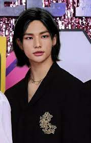 Hwang Hyunjin Hyunjin Black Hair Hyunjin Long Black Hair Hyunjin Hair