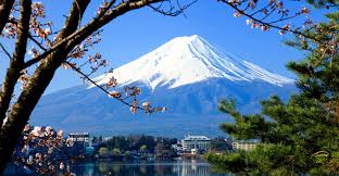 Mt Fuji Day Trip Including Lake Ashi Sightseeing Cruise From Tokyo