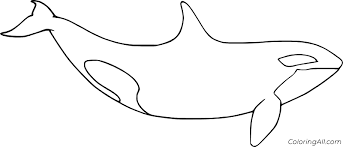 For boys and girls, kids and adults, teenagers and toddlers, preschoolers and older kids at school. Killer Whale Coloring Pages Coloringall