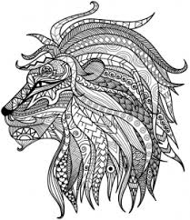 Download Detailed Lion Advanced Coloring Page Lion Coloring Pages Lion Coloring Lion Coloring Page