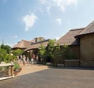 Endureed Synthetic Thatch Roof at Nashville Zoo | Huber ...
