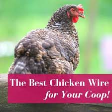 The interior is planked with old barn wood, the roof is reclaimed corrugated metal, and an old shipping pallet is now a welcoming porch. Having A Sick Chicken Can Be Scary Here S What You Can Do Pampered Chicken Mama Raising Backyard Chickens