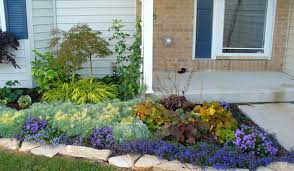 Check spelling or type a new query. Reader Photos Sarah S Garden In Illinois Day 1 The Front Yard Finegardening