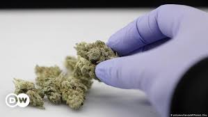 If you're looking for info on how to stop smoking weed this is probably a good place to start. Coronavirus The Tide Is Coming For Medicinal Cannabis Science In Depth Reporting On Science And Technology Dw 08 05 2020