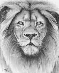 Sarah Kelly Beautiful Drawn Piece That Inspires Nature And Animal Drawings In Me Lion Head Tattoos Lion Sketch Lion Tattoo Design
