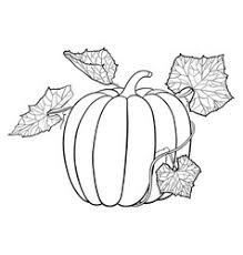 Check spelling or type a new query. Pumpkin Leaves Outline Vector Images Over 310