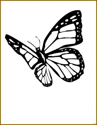 Butterfly Coloring Page Free In 2020 Colorful Butterflies Butterfly Coloring Page Coloring Pages