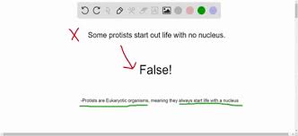 We did not find results for: Solved True Or False Animal Cells Do Not Have Wa