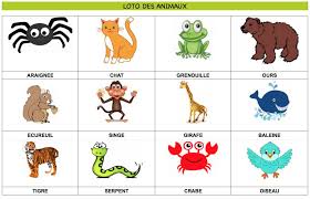 Loto Des Animaux A Imprimer 60 Animaux Au Total Partie 2 5 Retrouvez Les Autres Planches Sur Mon Profil Imagier Animaux A Imprimer Loto Enfant