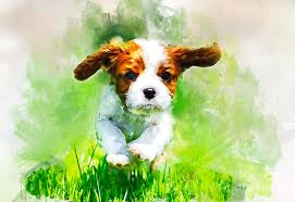 Clothing, home decor, gifts & more great products. Cavalier King Charles Spaniel Puppy Watercolor Painting By Waldek Dabrowski